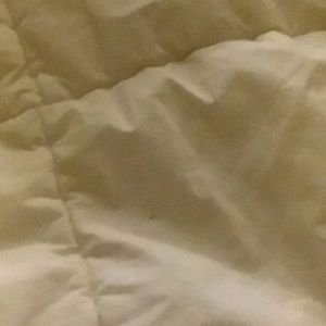 Meet your Posher, Shelia